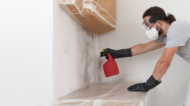Professional Hvac And Air Duct Mold Remediation technician working in Fairview, NY